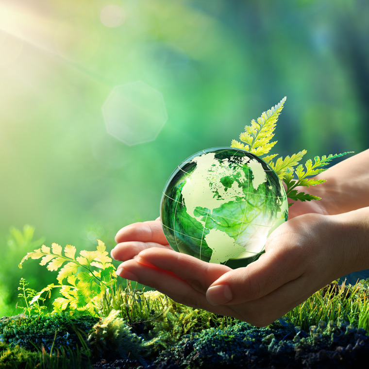 Offering dedicated EPDs 