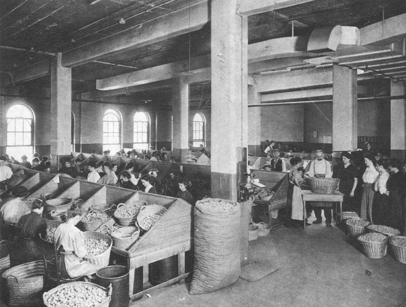 1899 Cork insulation 