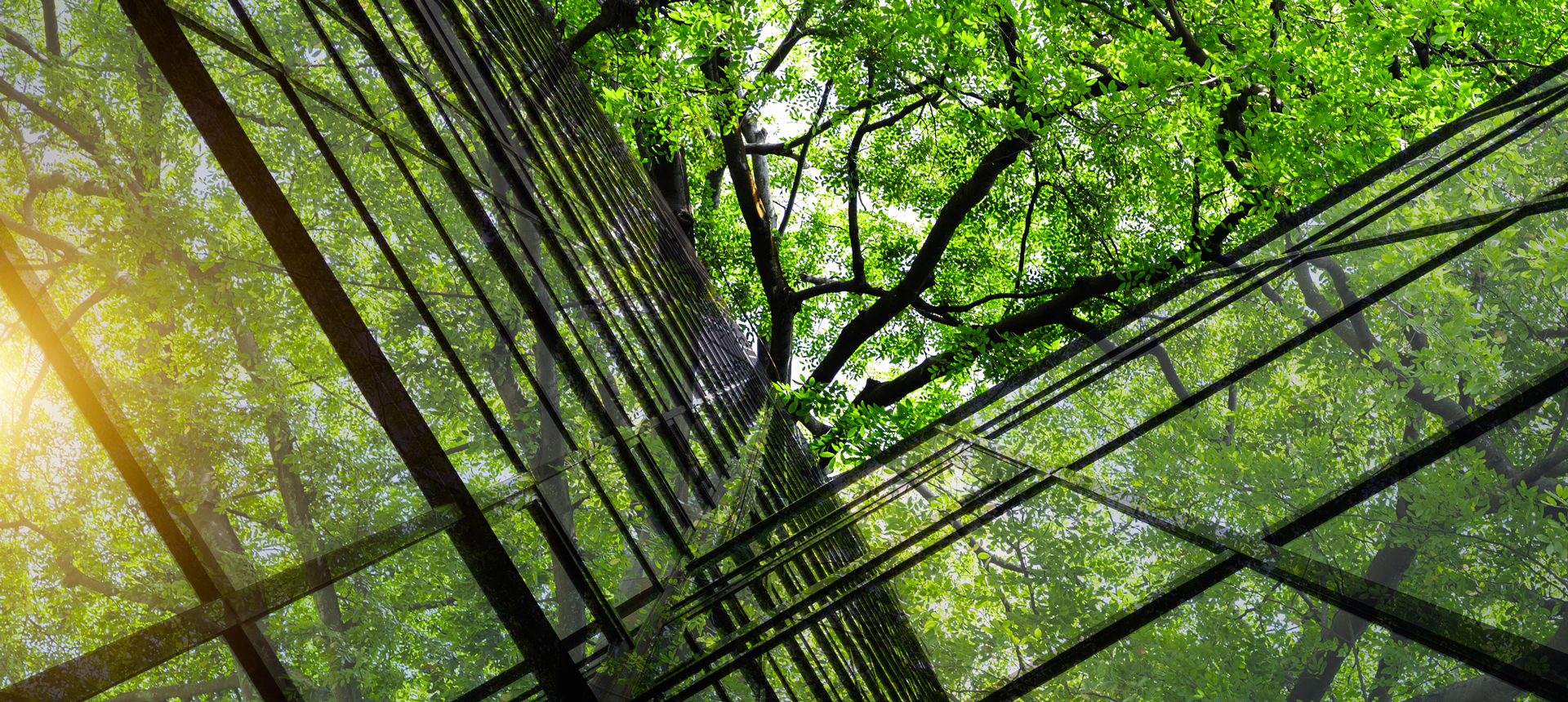 Photo of glass building with greenery