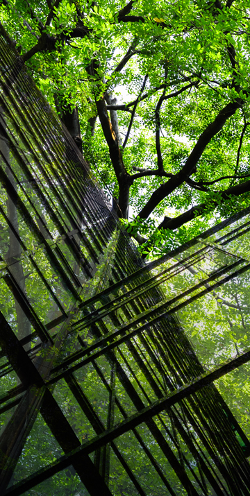 Photo of a glass building with green trees