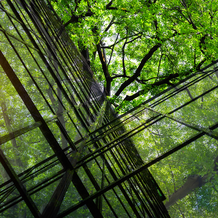 Photo of glass building with greenery