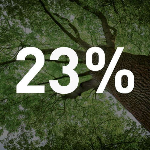 Armacell Gender Diversity Percentage Image