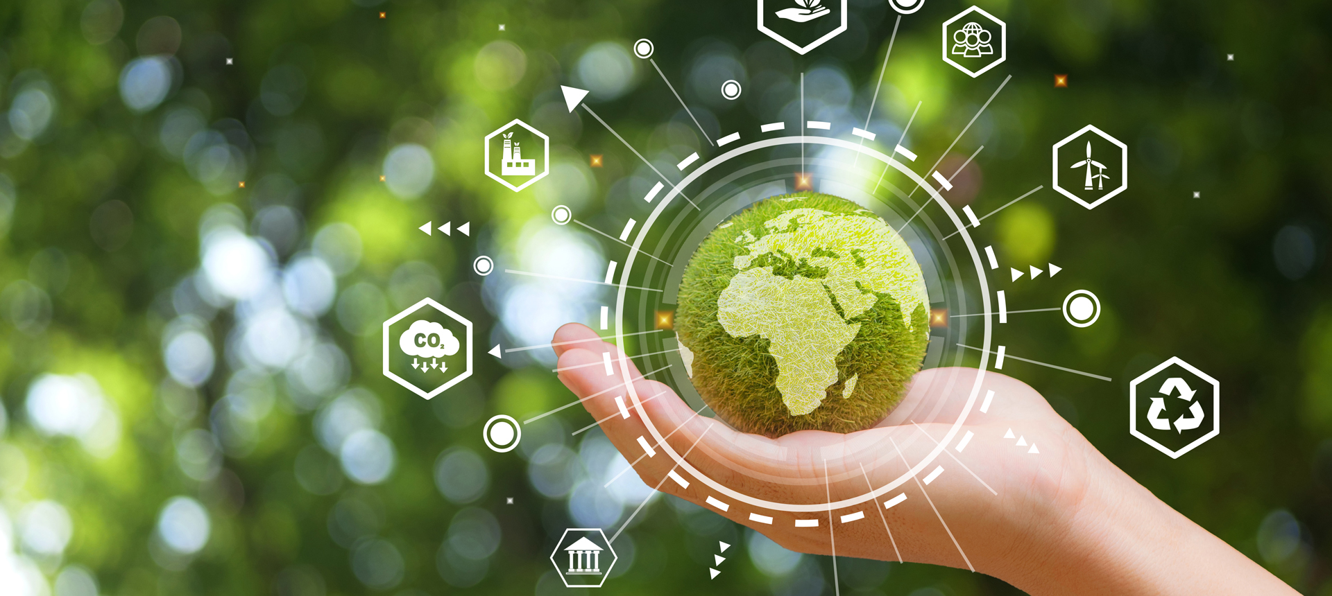 Sustainability