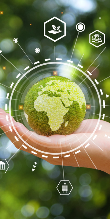 Sustainability