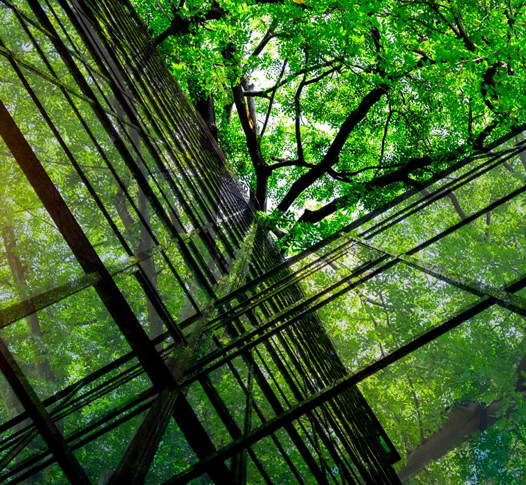 Green buildings Sustainability